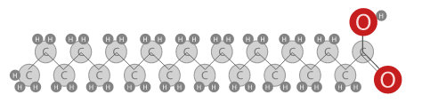 fatty acid
