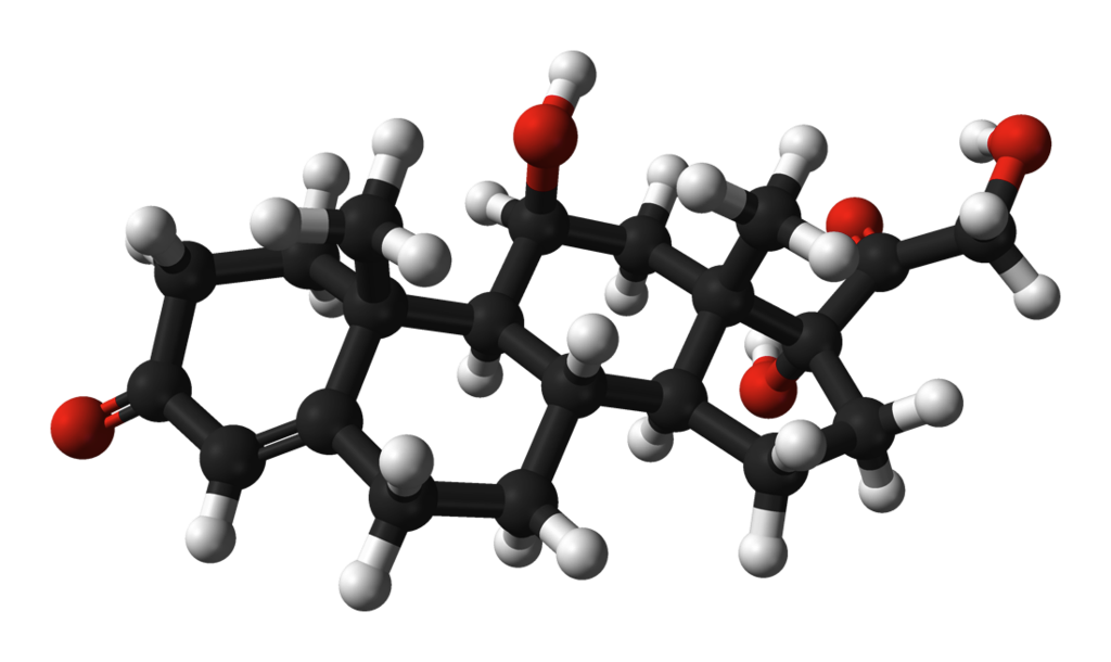 cortisol, molecule, biochemistry