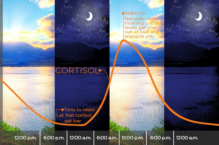 cortisol, circadian rhythm